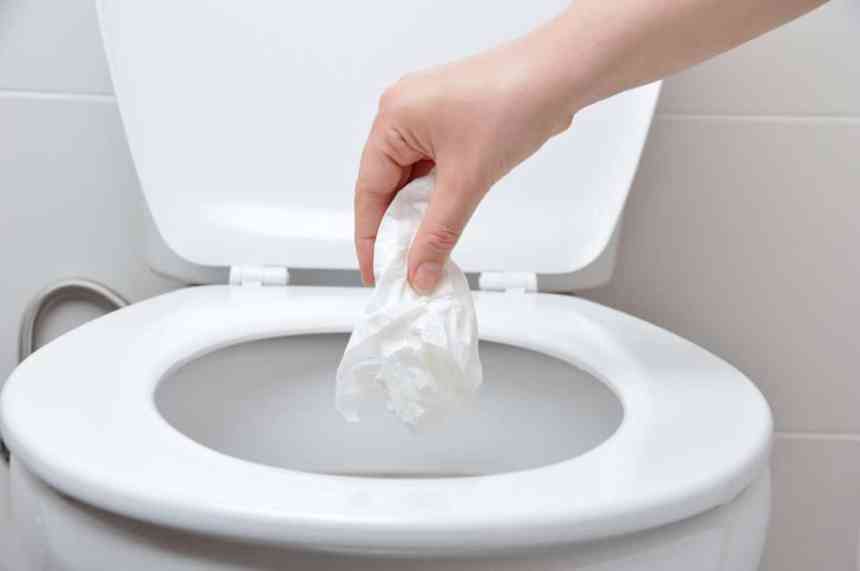 Les lingettes jetables dans les toilettes n'existeraient pas, selon une  étude